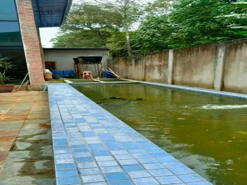 Kampung Keliang Single Storey Bungalow thumbnail 7