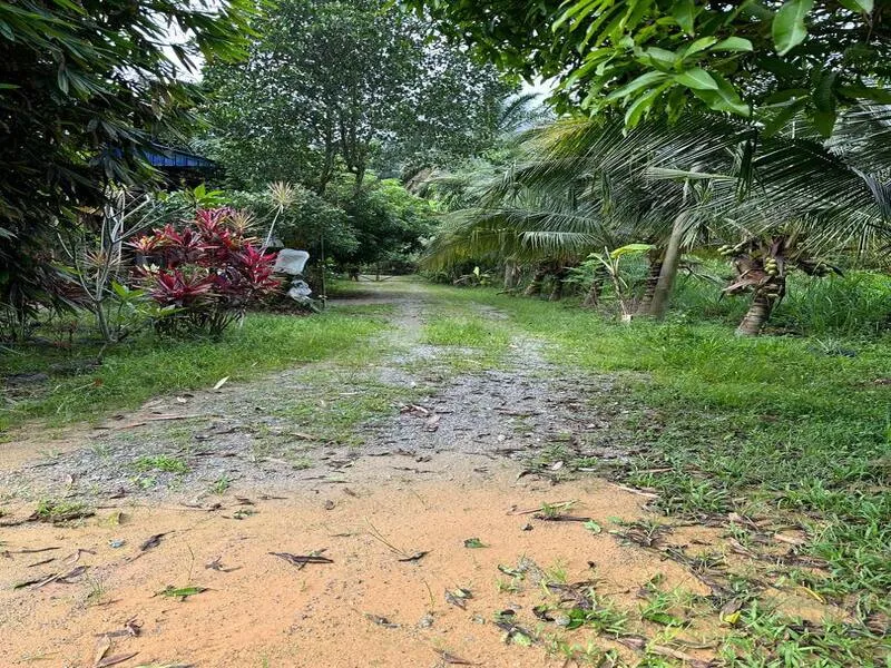 Kuala Pilah 10 Acre Land thumbnail 10