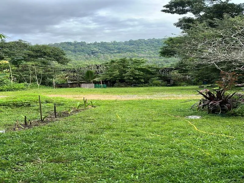 Kuala Pilah 10 Acre Land thumbnail 8