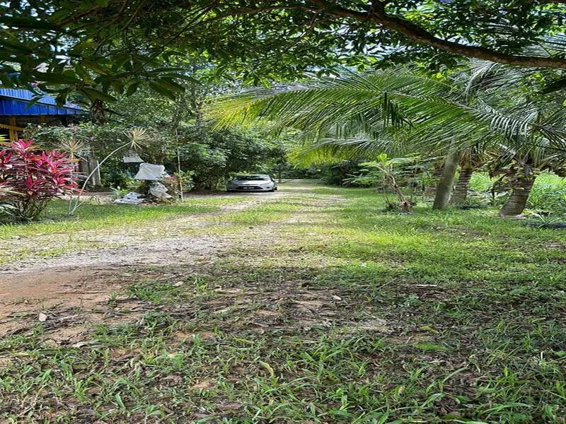 Kuala Pilah 10 Acre Land thumbnail 6