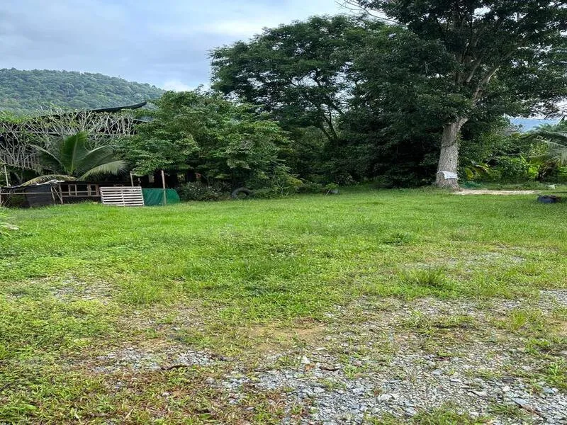 Kuala Pilah 10 Acre Land thumbnail 2