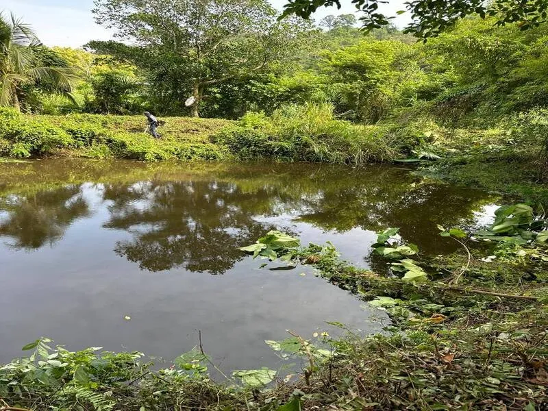 Kuala Pilah 10 Acre Land thumbnail 4