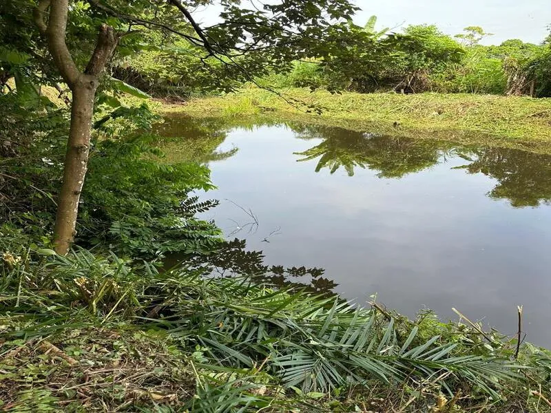 Kuala Pilah 10 Acre Land thumbnail 3